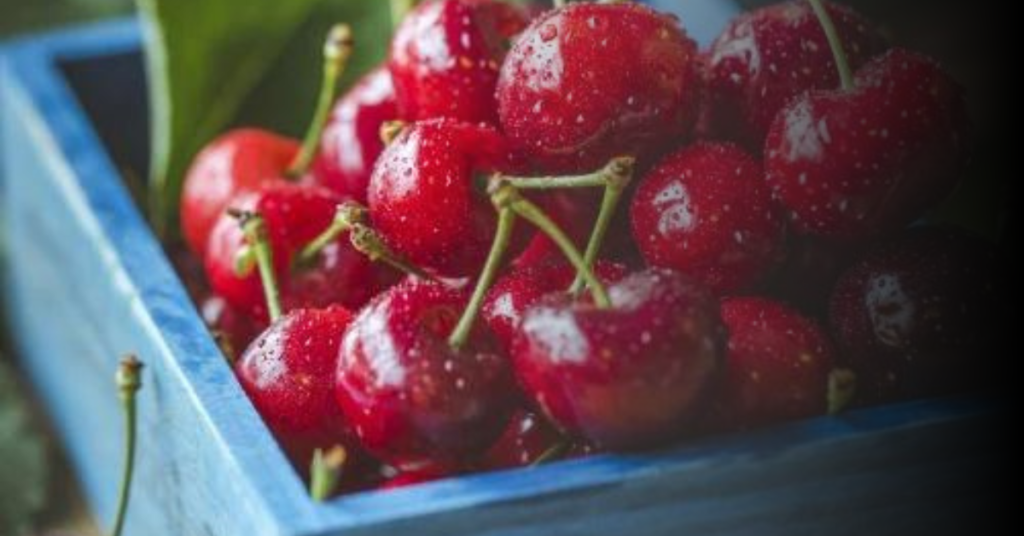 Benefits of Feeding Bearded Dragons Cherries