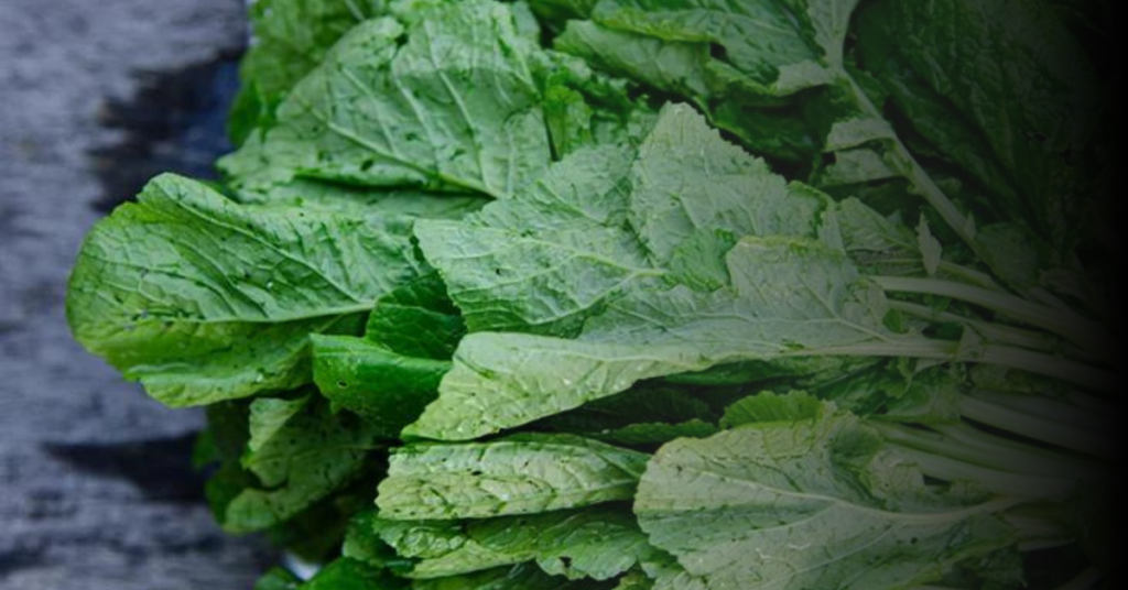 Mustard Greens and Their Nutritional Value