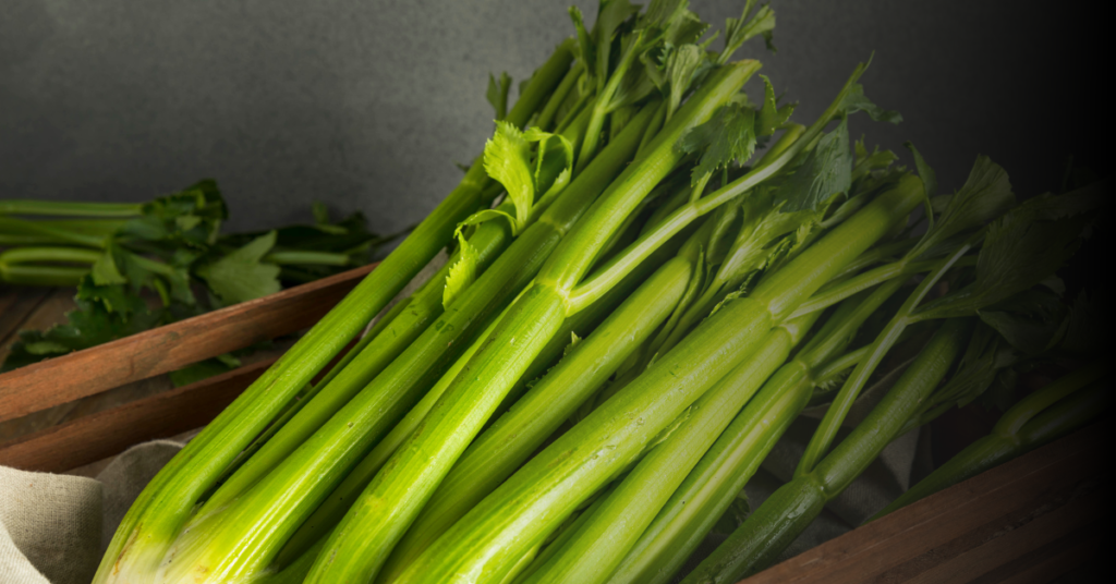 Nutritional Value of Celery