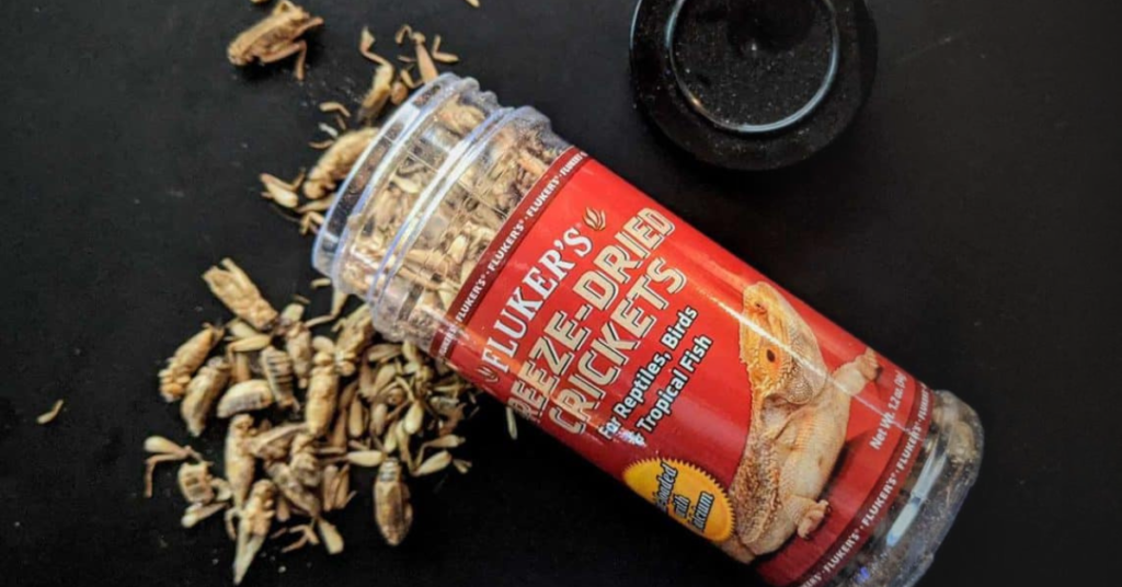 Pros and Cons of Freeze-Dried Crickets