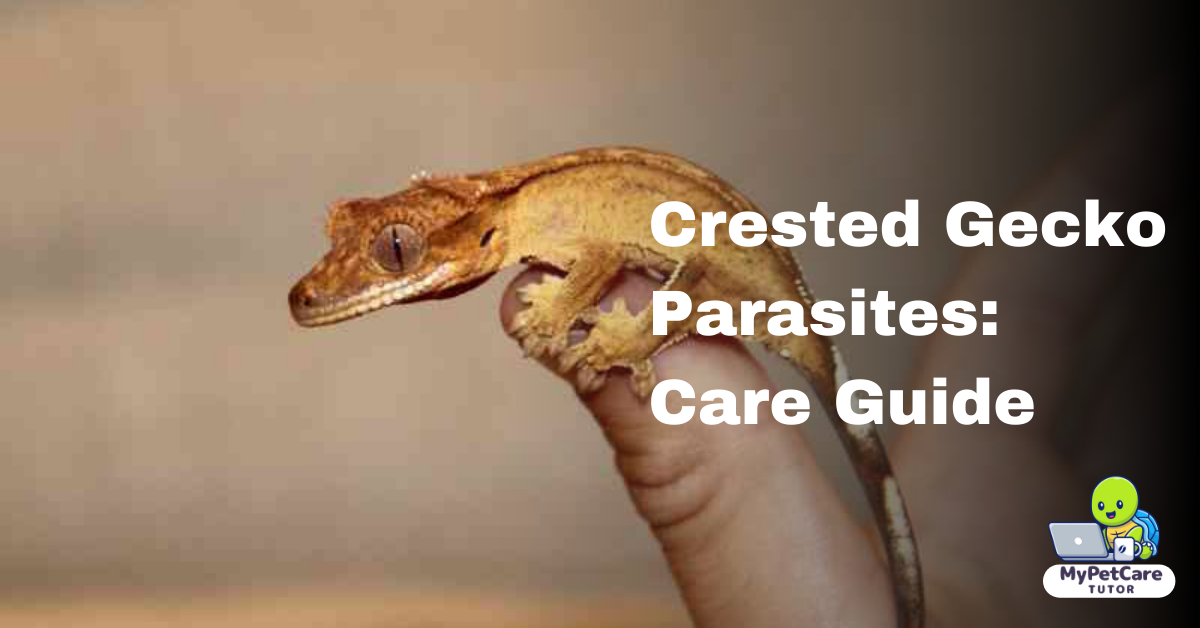 Crested Gecko Parasites: Care Guide